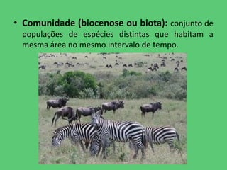 • Comunidade (biocenose ou biota): conjunto de
 populações de espécies distintas que habitam a
 mesma área no mesmo intervalo de tempo.
 