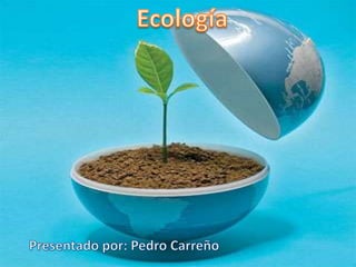 Ecología  Presentado por: Pedro Carreño 