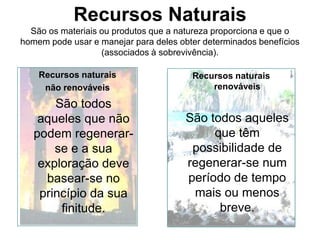 Ecologia: alguns conceitos básicos