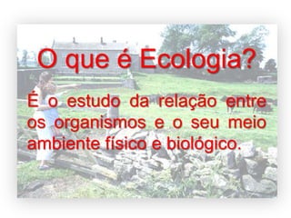 Ecologia: alguns conceitos básicos