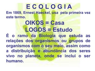 Ecologia: alguns conceitos básicos