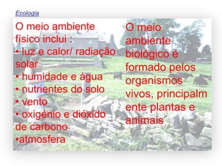 Ecologia: alguns conceitos básicos