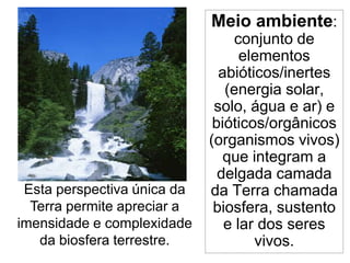 Ecologia: alguns conceitos básicos