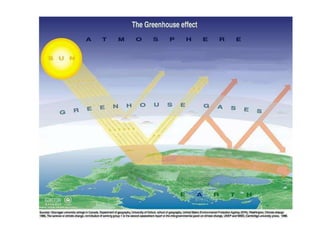 Ecologia: alguns conceitos básicos