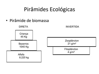 Pirâmides Ecológicas Pirâmide de biomassa Criança 45 Kg Bezerros  1040 Kg Alfafa 8.220 kg Zooplâncton 21 g/m² Fitoplâncton 4 g/m² DIRETA INVERTIDA 