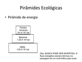Pirâmides Ecológicas Pirâmide de energia Obs: NUNCA PODE SER INVERTIDA. O fluxo energético sempre diminuiu na passagem de um nível trófico para outro. Alfafa  1,50 X 10 7  cal Bezerros  1,20 X 10 6  cal Tecidos  humanos 8,4 X 10 3  cal 
