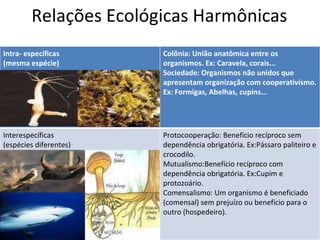 Relações Ecológicas Harmônicas  Intra- específicas  (mesma espécie) Colônia: União anatômica entre os organismos. Ex: Caravela, corais... Sociedade: Organismos não unidos que apresentam organização com cooperativismo. Ex: Formigas, Abelhas, cupins... Interespecíficas (espécies diferentes) Protocooperação: Benefício recíproco sem dependência obrigatória. Ex:Pássaro paliteiro e crocodilo. Mutualismo:Benefício recíproco com dependência obrigatória. Ex:Cupim e protozoário.  Comensalismo: Um organismo é beneficiado (comensal) sem prejuízo ou benefício para o outro (hospedeiro).  