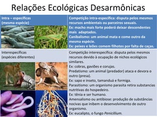 Relações Ecológicas Desarmônicas  Intra – específicas (mesma espécie) Competição intra-específica: disputa pelos mesmos recursos ambientais ou parceiros sexuais.  Ex: macho mais forte poderá deixar descendentes mais  adaptados. Canibalismo: um animal mata e come outro da mesma espécie.  Ex: peixes e leões comem filhotes por falta de caças. Interespecíficas (espécies diferentes) Competição interespecífica: disputa pelos mesmos recursos devido à ocupação de nichos ecológicos similares. Ex: cobras, gaviões e corujas. Predatismo: um animal (predador) ataca e devora o outro (presa). Ex: sapo e inseto, tamanduá e formiga. Parasitismo: um organismo parasita retira substancias nutritivas do hospedeiro.  Ex: tênia e ser humano. Amensalismo ou antibiose: produção de substâncias nocivas que inibem o desenvolvimento de outro organismo. Ex: eucalipto, o fungo  Penicillium. 