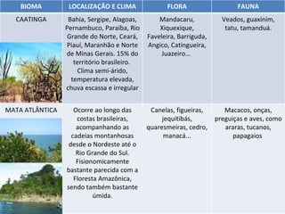 BIOMA LOCALIZAÇÃO E CLIMA FLORA FAUNA CAATINGA Bahia, Sergipe, Alagoas, Pernambuco, Paraíba, Rio Grande do Norte, Ceará, Piauí, Maranhão e Norte de Minas Gerais. 15% do território brasileiro.  Clima semi-árido, temperatura elevada, chuva escassa e irregular Mandacaru, Xiquexique, Faveleira, Barriguda, Angico, Catingueira, Juazeiro...  Veados, guaxinim, tatu, tamanduá. MATA ATLÂNTICA Ocorre ao longo das costas brasileiras, acompanhando as cadeias montanhosas desde o Nordeste até o Rio Grande do Sul. Fisionomicamente bastante parecida com a Floresta Amazônica, sendo também bastante úmida. Canelas, figueiras, jequitibás, quaresmeiras, cedro, manacá... Macacos, onças, preguiças e aves, como araras, tucanos, papagaios  