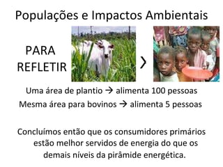 PARA  REFLETIR Uma área de plantio    alimenta 100 pessoas Mesma área para bovinos    alimenta 5 pessoas  Concluímos então que os consumidores primários estão melhor servidos de energia do que os demais níveis da pirâmide energética.   X Populações e Impactos Ambientais 