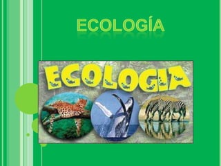   ecología  