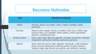Alaska Bosques, pesca, oro, plata, cobre, carbón, petróleo, pieles
preciosas.
Canadá Níquel, cobre, papel, carnes y madera, maíz, soya, carbón, gas
natural, hierro, oro, petróleo, plata, platino, uranio, ganadería
(bobina, caballar porcina).
Estados Unidos Soya, maíz, sorgo, fibra de algodón, tomates, manzanas, naranjas,
maquinaria, productos marinos, productos químicos.
México Maíz, caña de azúcar, trigo, algodón, henequén, café, petróleo,
plata, recursos pesqueros, aceite de palma, tequila, banana,
naranja, sorgo, gas natural, oro, plomo, sal, cemento, cerveza.
 
