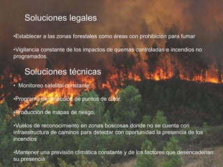 Soluciones técnicas
• Monitoreo satelital constante.
•Programa de detección de puntos de calor.
•Producción de mapas de riesgo.
•Vuelos de reconocimiento en zonas boscosas donde no se cuenta con
infraestructura de caminos para detectar con oportunidad la presencia de los
incendios
•Mantener una previsión climática constante y de los factores que desencadenan
su presencia
•Establecer a las zonas forestales como áreas con prohibición para fumar
•Vigilancia constante de los impactos de quemas controladas e incendios no
programados.
Soluciones legales
 