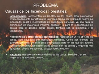 Causas de los Incendios Forestales:
PROBLEMA
• Intencionados: representan un 60-70% de los casos. Son provocados
premeditadamente por diferentes intereses. Como por ejemplo la quema no
autorizada, ilegal e incontrolada de superficies agrícolas, ya sea para la
eliminación de matorrales ("quema agrícola") o para la regeneración de
pastos para el ganado. Otras causas también son la piromanía y el
vandalismo.
• Negligencias y otras causas accidentales: representan un 15-25% de los
casos. Son causados por descuidos humanos. Como por ejemplo las
quemas agrícolas (en este caso autorizadas, pero en las que los autores
perdieron el control del fuego). Otras causas son las colillas y hogueras mal
apagadas, quema de basuras, trabajos forestales, etc.
• Naturales: representan menos del 5% de los casos. Se deben, en su
mayoría, a la acción de un rayo.
 