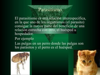 Parasitismo El parasitismo es una relación interespecifica, en la que uno de los organismos (el parasito) consigue la mayor parte del beneficio de una relación estrecha con otro, el huésped u hospedador.  Por ejemplo Las pulgas en un perro donde las pulgas son los parásitos y el perro es el huésped. 