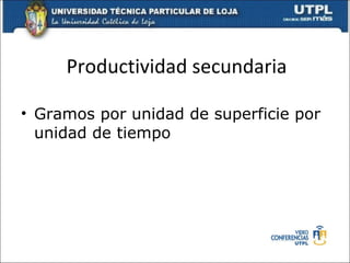 Productividad secundaria Gramos por unidad de superficie por unidad de tiempo 