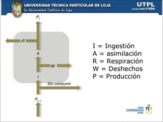 I = Ingestión A = asimilación R = Respiración W = Deshechos P = Producción R P n A I P n-1 W Sin consumir 