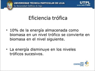 Eficiencia trófica 10% de la energía almacenada como biomasa en un nivel trófico se convierte en biomasa en el nivel siguiente. La energía disminuye en los niveles tróficos sucesivos. 