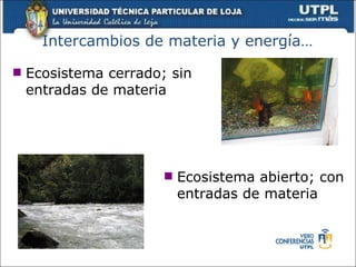 Intercambios de materia y energía… Ecosistema cerrado; sin entradas de materia Ecosistema abierto; con entradas de materia 