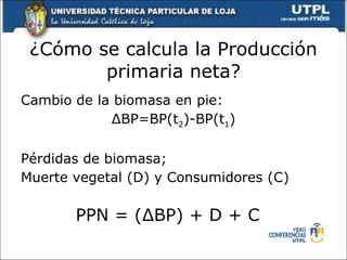 ¿Cómo se calcula la Producción primaria neta? Cambio de la biomasa en pie: ΔBP=BP(t 2 )-BP(t 1 ) Pérdidas de biomasa;  Muerte vegetal (D) y Consumidores (C) PPN = ( ΔBP ) + D + C 