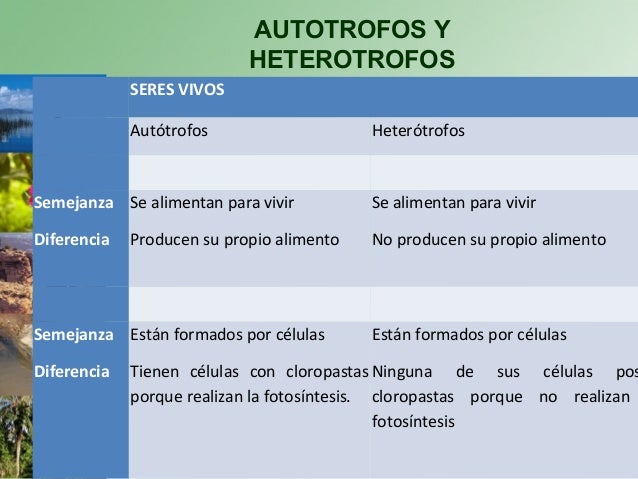 Semejanzas Y Diferencias Entre Nutricion Autotrofa Y Heterotrofa Esta Diferencia