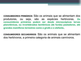 CONSUMIDORES PRIMÁRIOS: São os animais que se alimentam dos
produtores, ou seja, são as espécies herbívoras. Os
consumidores primários podem ser desde microscópicas larvas
planctônicas, ou invertebrados bentônicos (de fundo) pastadores, até
grandes mamíferos terrestres como a girafa e o elefante.
CONSUMIDORES SECUNDÁRIOS: São os animais que se alimentam
dos herbívoros, a primeira categoria de animais carnívoros.
 