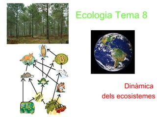Ecologia Tema 8
Dinàmica
dels ecosistemes
 