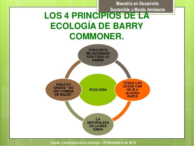 Ecologia trabajo colaborativo