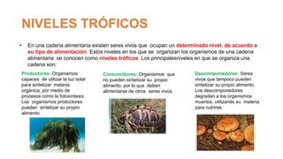 NIVELES TRÓFICOS
• En una cadena alimentaria existen seres vivos que ocupan un determinado nivel, de acuerdo a
su tipo de alimentación. Estos niveles en los que se organizan los organismos de una cadena
alimentaria se conocen como niveles tróficos. Los principalesniveles en que se organiza una
cadena son:
Objetivo: Analizar el
concepto de cadena trófica
Productores: Organismos
capaces de utilizar la luz solar
para sintetizar materia
orgánica, por medio de
procesos como la fotosíntesis.
Los organismos productores
pueden sintetizar su propio
alimento.
Consumidores: Organismos que
no pueden sintetizar su propio
alimento, por lo que deben
alimentarse de otros seres vivos.
Descomponedores: Seres
vivos que tampoco pueden
sintetizar su propio alimento.
Los descomponedores
degradan a los organismos
muertos, utilizando su materia
para nutrirse.
 