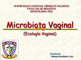 Microbiota VaginalMicrobiota Vaginal
(Ecología Vaginal)(Ecología Vaginal)
Estudiantes:Estudiantes:
Minaya Escolástico, Luis.Minaya Escolástico, Luis.
UNIVERSIDAD NACIONAL HERMILIO VALDIZANUNIVERSIDAD NACIONAL HERMILIO VALDIZAN
FACULTAD DE MEDICINAFACULTAD DE MEDICINA
GINECOLOGIA 2016GINECOLOGIA 2016
 