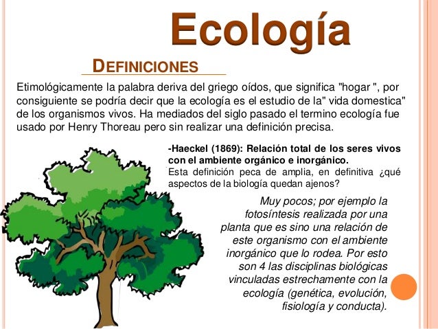 Resultado de imagen para que es ecologia ambiental