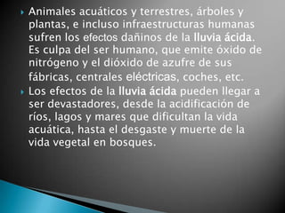 Animales acuáticos y terrestres, árboles y plantas, e incluso infraestructuras humanas sufren los efectos dañinos de la lluvia ácida. Es culpa del ser humano, que emite óxido de nitrógeno y el dióxido de azufre de sus fábricas, centrales eléctricas, coches, etc.Los efectos de la lluvia ácida pueden llegar a ser devastadores, desde la acidificación de ríos, lagos y mares que dificultan la vida acuática, hasta el desgaste y muerte de la vida vegetal en bosques.