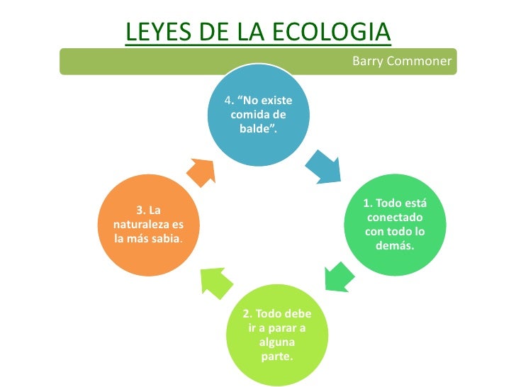 Ecologia wiki 4