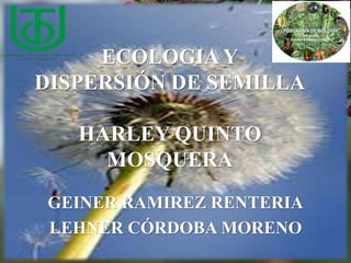 ECOLOGIA Y
DISPERSIÓN DE SEMILLA
HARLEY QUINTO
MOSQUERA
GEINER RAMIREZ RENTERIA
LEHNER CÓRDOBA MORENO
 
