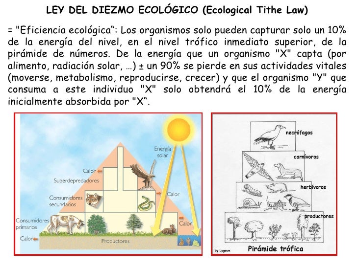 Ecologia y ambiente
