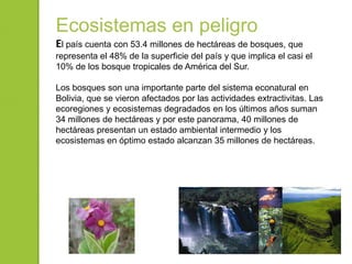 - Aguas Calientes
(inestabilidad geológica de los valles de la
cordillera andina)
-Aguas Frías, Unos metros debajo de
esta...