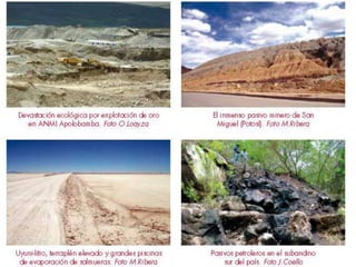 Ecologia y areas protegidas en Bolivia