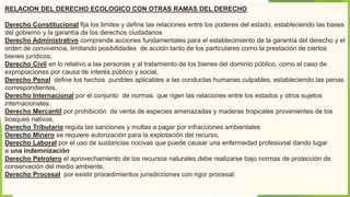 RELACION DEL DERECHO ECOLOGICO CON OTRAS RAMAS DEL DERECHO
Derecho Constitucional fija los limites y define las relaciones entre los poderes del estado, estableciendo las bases
del gobierno y la garantía de los derechos ciudadanos
Derecho Administrativo comprende acciones fundamentales para el establecimiento de la garantía del derecho y el
orden de convivencia, limitando posibilidades de acción tanto de los particulares como la prestación de ciertos
bienes jurídicos,
Derecho Civil en lo relativo a las personas y al tratamiento de los bienes del dominio público, como el caso de
expropiaciones por causa de interés público y social,
Derecho Penal define los hechos punibles aplicables a las conductas humanas culpables, estableciendo las penas
correspondientes,
Derecho Internacional por el conjunto de normas que rigen las relaciones entre los estados y otros sujetos
internacionales.
Derecho Mercantil por prohibición de venta de especies amenazadas y maderas tropicales provenientes de los
bosques nativos,
Derecho Tributario regula las sanciones y multas a pagar por infracciones ambientales
Derecho Minero se requiere autorización para la explotación del recurso,
Derecho Laboral por el uso de sustancias nocivas que puede causar una enfermedad profesional dando lugar
a una indemnización
Derecho Petrolero el aprovechamiento de los recursos naturales debe realizarse bajo normas de protección de
conservación del medio ambiente,
Derecho Procesal por existir procedimientos jurisdicciones con rigor procesal.
 