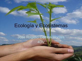 Ecología y Ecosistemas Jose Rogelio Cortina Montes 4DV 