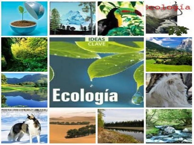 Ecologia y ecosistemas