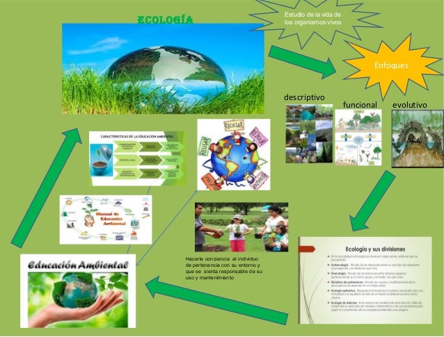 Ecologia y educcaion ambiental 4to trimestre psicologia