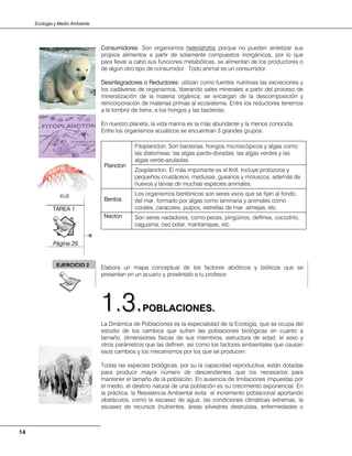 Ecología y Medio Ambiente
14
Consumidores: Son organismos heterótrofos porque no pueden sintetizar sus
propios alimentos a partir de solamente compuestos inorgánicos, por lo que
para llevar a cabo sus funciones metabólicas, se alimentan de los productores o
de algún otro tipo de consumidor. Todo animal es un consumidor.
Desintegradores o Reductores: utilizan como fuentes nutritivas las excreciones y
los cadáveres de organismos, liberando sales minerales a partir del proceso de
mineralización de la materia orgánica; se encargan de la descomposición y
reincorporación de materias primas al ecosistema. Entre los reductores tenemos
a la lombriz de tierra, a los hongos y las bacterias.
En nuestro planeta, la vida marina es la más abundante y la menos conocida.
Entre los organismos acuáticos se encuentran 3 grandes grupos:
Plancton
Fitoplancton. Son bacterias, hongos microscópicos y algas como
las diatomeas: las algas pardo-doradas, las algas verdes y las
algas verde-azuladas.
Zooplancton. El más importante es el Krill. Incluye protozoos y
pequeños crustáceos, medusas, gusanos y moluscos, además de
huevos y larvas de muchas especies animales.
Bentos
Los organismos bentónicos son seres vivos que se fijan al fondo
del mar, formado por algas como laminaria y animales como
corales, caracoles, pulpos, estrellas de mar, almejas, etc.
Necton Son seres nadadores, como peces, pingüinos, delfines, cocodrilo,
caguama, oso polar, mantarrayas, etc.
Elabora un mapa conceptual de los factores abióticos y bióticos que se
presentan en un acuario y preséntalo a tu profesor.
PPOOBBLLAACCIIOONNEESS..
La Dinámica de Poblaciones es la especialidad de la Ecología, que se ocupa del
estudio de los cambios que sufren las poblaciones biológicas en cuanto a
tamaño, dimensiones físicas de sus miembros, estructura de edad, el sexo y
otros parámetros que las definen, así como los factores ambientales que causan
esos cambios y los mecanismos por los que se producen.
Todas las especies biológicas, por su la capacidad reproductiva, están dotadas
para producir mayor número de descendientes que los necesarios para
mantener el tamaño de la población. En ausencia de limitaciones impuestas por
el medio, el destino natural de una población es su crecimiento exponencial. En
la práctica, la Resistencia Ambiental evita el incremento poblacional aportando
obstáculos, como la escasez de agua, las condiciones climáticas extremas, la
escasez de recursos (nutrientes, áreas silvestres destruidas, enfermedades o
11..33..
TAREA 1
Página 29.
Krill
EJERCICIO 2
 