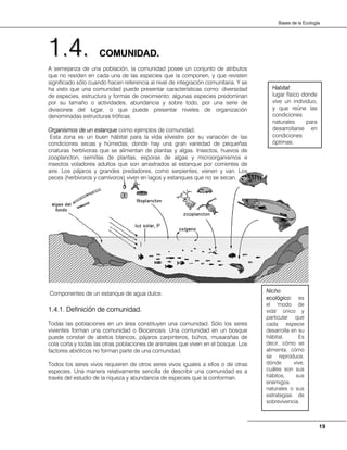 19
Bases de la Ecología
CCOOMMUUNNIIDDAADD..
A semejanza de una población, la comunidad posee un conjunto de atributos
que no residen en cada una de las especies que la componen, y que revisten
significado sólo cuando hacen referencia al nivel de integración comunitaria. Y se
ha visto que una comunidad puede presentar características como: diversidad
de especies, estructura y formas de crecimiento; algunas especies predominan
por su tamaño o actividades, abundancia y sobre todo, por una serie de
divisiones del lugar, o que puede presentar niveles de organización
denominadas estructuras tróficas.
Organismos de un estanque como ejemplos de comunidad.
Esta zona es un buen hábitat para la vida silvestre por su variación de las
condiciones secas y húmedas, donde hay una gran variedad de pequeñas
criaturas herbívoras que se alimentan de plantas y algas. Insectos, huevos de
zooplancton, semillas de plantas, esporas de algas y microorganismos e
insectos voladores adultos que son arrastrados al estanque por corrientes de
aire. Los pájaros y grandes predadores, como serpientes, vienen y van. Los
peces (herbívoros y carnívoros) viven en lagos y estanques que no se secan.
Componentes de un estanque de agua dulce.
1.4.1. Definición de comunidad.
Todas las poblaciones en un área constituyen una comunidad. Sólo los seres
vivientes forman una comunidad o Biocenosis. Una comunidad en un bosque
puede constar de abetos blancos, pájaros carpinteros, búhos, musarañas de
cola corta y todas las otras poblaciones de animales que viven en el bosque. Los
factores abióticos no forman parte de una comunidad.
Todos los seres vivos requieren de otros seres vivos iguales a ellos o de otras
especies. Una manera relativamente sencilla de describir una comunidad es a
través del estudio de la riqueza y abundancia de especies que la conforman.
11..44..
Habitat:
lugar físico donde
vive un individuo,
y que reúne las
condiciones
naturales para
desarrollarse en
condiciones
óptimas.
Nicho
ecológico: es
el 'modo de
vida' único y
particular que
cada especie
desarrolla en su
hábitat. Es
decir, cómo se
alimenta, cómo
se reproduce,
dónde vive,
cuáles son sus
hábitos, sus
enemigos
naturales o sus
estrategias de
sobrevivencia.
 