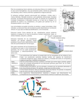 23
Bases de la Ecología
Pero los ecosistemas tienen además una estructura física en la medida en que
no son nunca homogéneos, sino que presentan partes, donde las condiciones
son distintas y más o menos uniformes o gradientes en alguna dirección.
El ambiente ecológico aparece estructurado por interfases o límites más o
menos definidos, llamados ecotonos y por gradientes direccionales, llamados
ecoclinas, de factores fisicoquímicos del medio. Un ejemplo es el gradiente de
humedad, temperatura e intensidad lumínica en el seno de un bosque o el
gradiente en cuanto a luz, temperatura y de gases (por ejemplo O2) en un
ecosistema léntico, o en un lago.
Las comunidades se pueden encontrar en estratos o capas horizontales o bien
verticales. La estructura física del ecosistema puede desarrollarse en la dirección
vertical, en cuyo caso se habla de estratificación, o en la horizontal.
Estructura vertical. Como ejemplo de una estratificación vertical, podemos
observar un bosque en el cual se encuentra el estrato subterráneo, suelo, un
estrato herbáceo, arbustivo y arbóreo.
Estructura horizontal. En los ecosistemas
ribereños, por ejemplo, aparecen franjas
paralelas al cauce fluvial, dependientes sobre
todo de la profundidad del nivel del agua.
Otra parte importante de los Ecosistemas es
la existencia de cuatro o cinco componentes
generales, tres de los cuales (productores,
consumidores, y descomponedores) son
seres vivos.
NIVEL
TRÓFICO 1
Los productores que capturan la energía solar con los cloroplastos de las células en las
hojas. Los productores autótrofos (plantas verdes) son capaces de transformar
sustancias inorgánicas (agua, bióxido de carbono y minerales del suelo) en compuestos
orgánicos (glucosa), mediante la fotosíntesis.
NIVEL
TRÓFICO 2
Son los consumidores primarios, protistos y animales que comen algas y plantas; gastan
parte de la energía almacenada en sus reacciones químicas, para correr, ver, oír, sentir,
respirar, reproducirse, etc.
NIVEL
TRÓFICO 3
Consumidores secundarios: son los animales y protistos que se alimentan devorando a
los consumidores primarios. Por ejemplo, el tigre que se come la cebra.
NIVEL
TRÓFICO 4
Consumidores terciarios: éstos se alimentan de los secundarios. Por ejemplo, la serpiente
que se come una rana, la cual ha consumido insectos.
NIVEL
TRÓFICO 5
Los organismos "descomponedores" (bacterias y hongos), que descomponen los
protoplasmas de los productores y consumidores muertos en sustancias más simples.
 