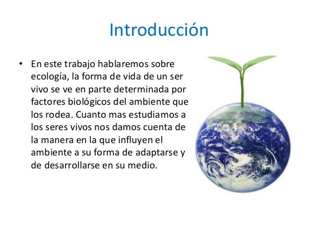 Ecologia y medio ambiente
