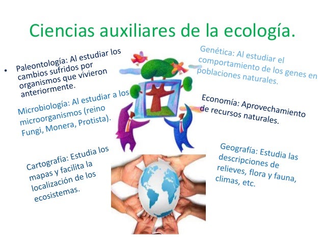 Ecologia y medio ambiente