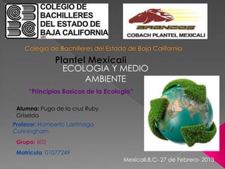 ECOLOGIA Y MEDIO
                     AMBIENTE
     “Principios Basicos de la Ecologia”

 Alumna: Puga de la cruz Ruby
 Griselda
Profesor: Humberto Larrirnaga
Cunningham
 Grupo: 602
 Matricula: 01077249
                                    Mexicali.B.C- 27 de Febrero- 2013
 