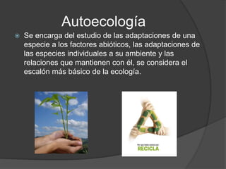 Autoecología
   Se encarga del estudio de las adaptaciones de una
    especie a los factores abióticos, las adaptaciones de
    las especies individuales a su ambiente y las
    relaciones que mantienen con él, se considera el
    escalón más básico de la ecología.
 