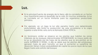 Luz.
 Es la principal fuente de energía de la tierra, ello la convierte en un factor
muy importante para el desarrollo de la vida. En muchos ambientes, la luz
se convierte en un factor limitante para los organismos productores
primarios.
 Por ejemplo, en un lago la luz sólo penetra hasta una determinada
profundidad, ello limita la producción de este ecosistema a la capa
superior a este límite; esta zona es llamada ZONA FÓTICA.
 Un fenómeno similar se observa en las plantas que habitan las zonas
inferiores de los bosques (denominadas SOTOBOSQUE); la mayor parte de
la luz es absorbida por las hojas de las plantas que se encuentran en la
parte SUPERIOR O DOSEL. A ello se debe que las plantas del sotobosque
generen hojas de gran tamaño; ya que al aumentar su superficie de
absorción tienen mayor probabilidad de captar los pocos rayos de luz que
llegan hasta este estrato del bosque
 