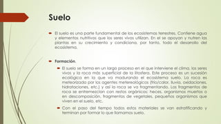 Suelo
 El suelo es una parte fundamental de los ecosistemas terrestres. Contiene agua
y elementos nutritivos que los seres vivos utilizan. En el se apoyan y nutren las
plantas en su crecimiento y condiciona, por tanto, todo el desarrollo del
ecosistema.
 Formación.
 El suelo se forma en un largo proceso en el que interviene el clima, los seres
vivos y la roca más superficial de la litosfera. Este proceso es un sucesión
ecológica en la que va madurando el ecosistema suelo. La roca es
meteorizada por los agentes metereológicos (frío/calor, lluvia, oxidaciones,
hidrataciones, etc.) y así la roca se va fragmentando. Los fragmentos de
roca se entremezclan con restos orgánicos: heces, organismos muertos o
en descomposición, fragmentos de vegetales, pequeños organismos que
viven en el suelo, etc.
 Con el paso del tiempo todos estos materiales se van estratificando y
terminan por formar lo que llamamos suelo.
 